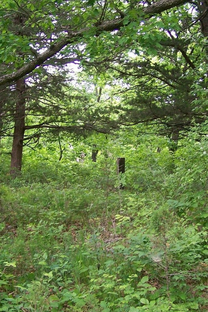 Tunnell Cemetery